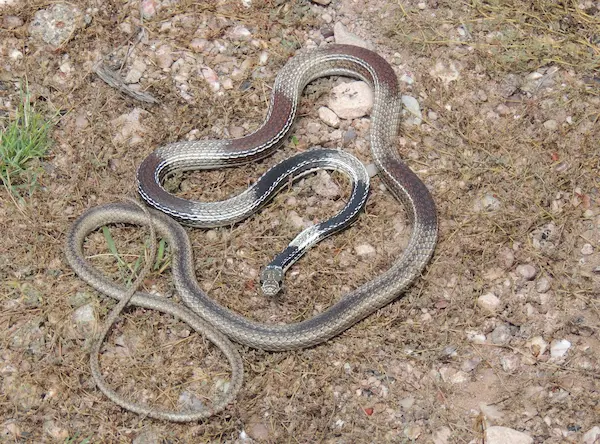 IMRS landscape photograph 13