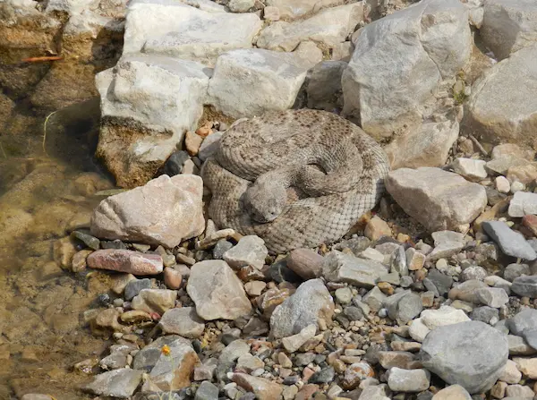 IMRS landscape photograph 9